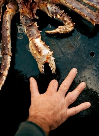 W E L L ※ F E D #arnold #corey #fisherman #fingers #ouch #crab