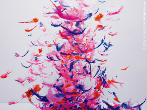 Yee Wong | PICDIT
