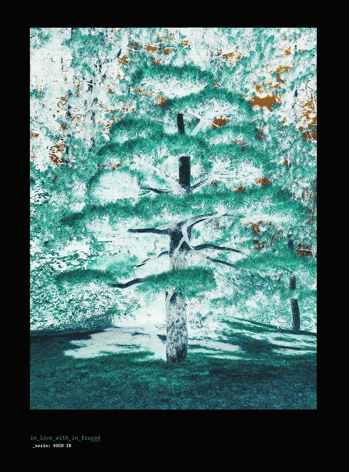 #in_love_with_in_frared #vscoinfrared #vsco #infrared #serie #photography #design #motiondesign #styleframe #scenography #stilllife #location #plants #flora #fauna #tree #gif #inverse
©
[ catrin mackowski ]