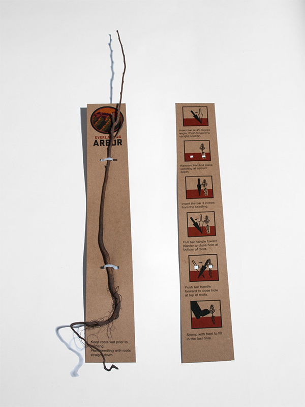 Everlasting Arbor on Behance #tree #packaging #brand #nature #identity #planting