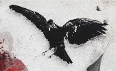 Queen of sins #sin #death #raven #queen