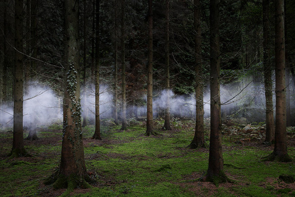 Ellie Davies #inspiration #photography #nature