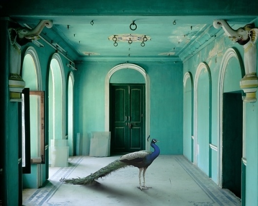 Karen Knorr » India Song #phoyography #india