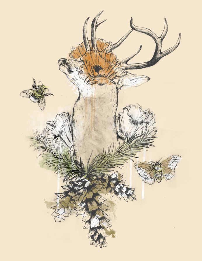 "Nostalgia" #deer #moth #illustration #flower
