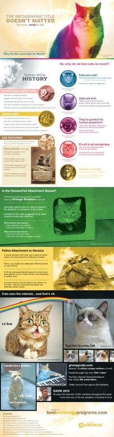 Why Do We Love Cats So Much? #infographic #design #graphic