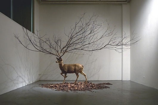 I need a guide: myeongbeom kim #art #installation