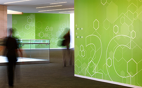 Novo Nordisk North American HQ. Designed by Poulin + Morris / www.enviromeant.com #graphics #wall