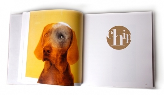 William Wegman | Silvia Mallofre #weimaraner #book #dog