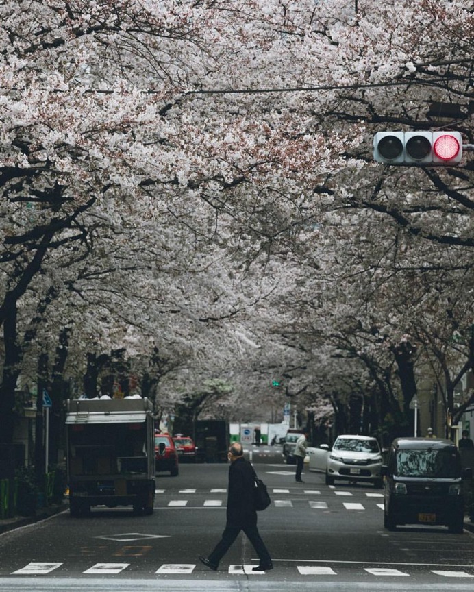 Cinematic Street Photography in Japan by Yuma Yamashita