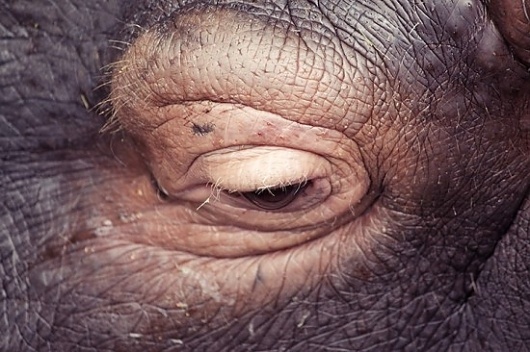 Google Reader (1000+) #eye #closeup #photography