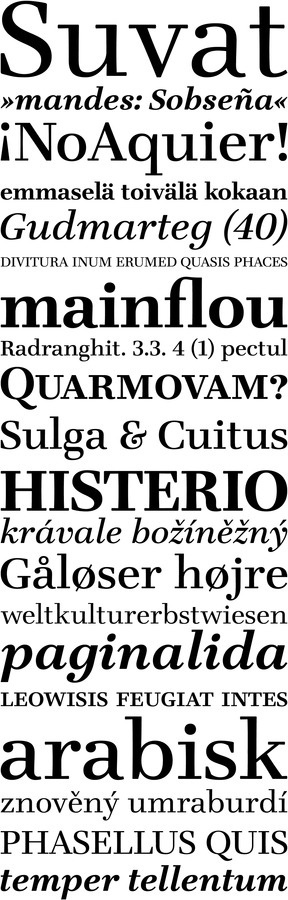 Teimer by Tomáš Brousil #font #suitcase #modern #serif #type #typography