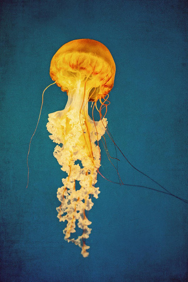 easy jellyfish painting & jellyfish paint by numbers #painting