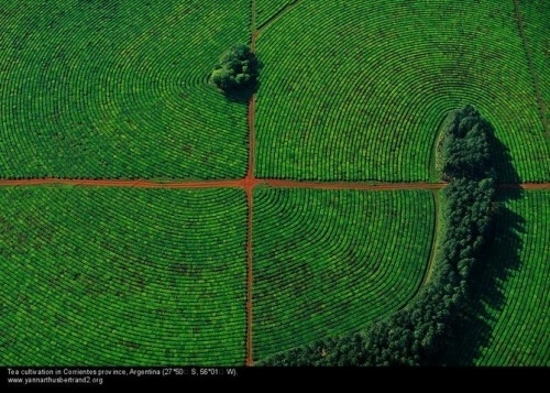Amazing Aerial Photographs of Russia, North Korea, and Argentina by Yann Arthus-Bertrand #photography #aerial