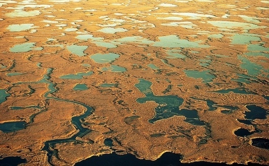The Delta | Flickr - Photo Sharing! #delta #landscape