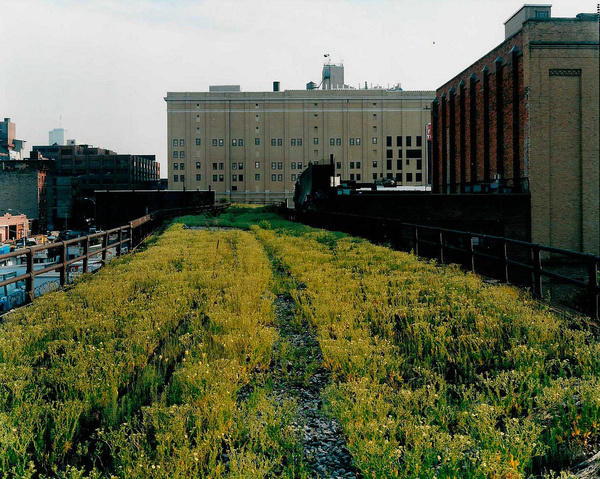 The High Line 1999 2006 | Friends of the High Line #sternfeld #joel #landscape #photography #york #nyc #new