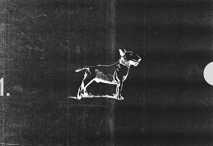 Valentino Skateshop Branding on Behance