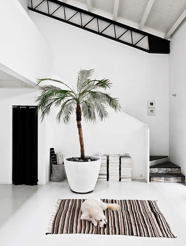 SPRINGTIME | BRINGING THE OUTSIDE IN