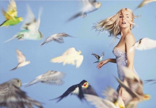 Every reform movement has a lunatic fringe #girl #birds