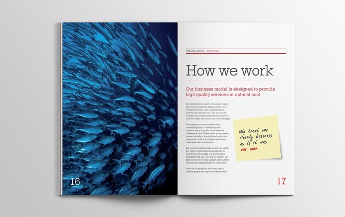 Whitespace Advisory brochure #brochure #spead #print #design