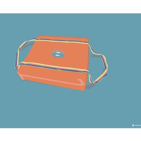 Stay Afloat #creative #vector #design #orange #graphic #floatation #cabbage #vintage #stay #afloat