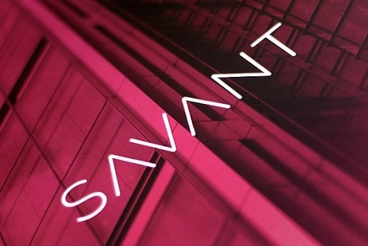 Savant on the Behance Network #design #illustration #photography #editorial