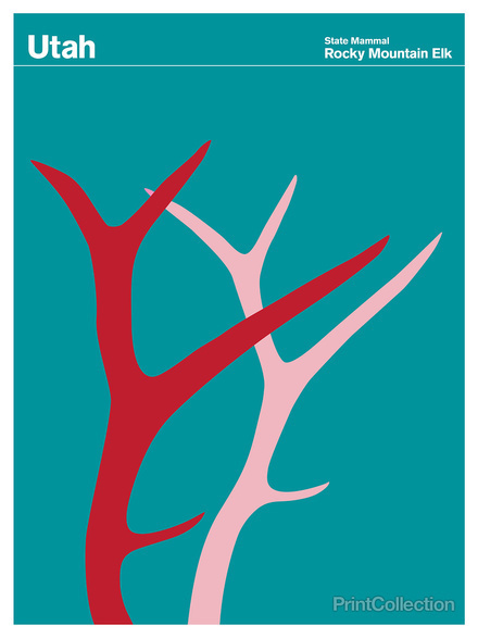 Utah #mountain #red #pink #elk #rocky #teal