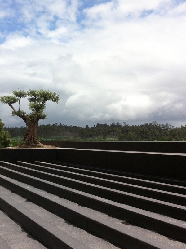 QUINTA STA CRUZ | ARTSPAZIOS 2012 #house #rehabilitation #architecture #artspazios #rendering