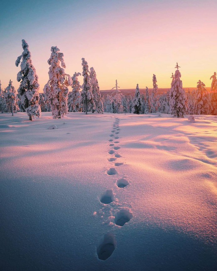 Mesmerizing Winter Wonderland Photos of Lapland in Finland