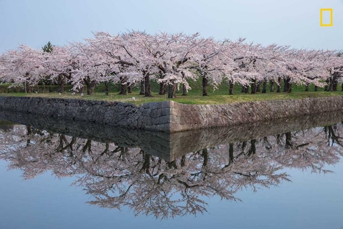 SymmetryrtemmyS by Hiroshi Tanita