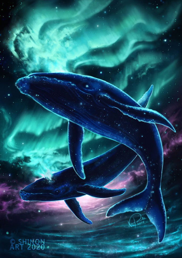 Solar Seas by ShadeofShinon
