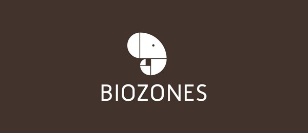 Spiral Logo Designs Inspiration #logo #spiral