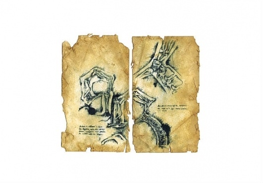 art #ink #of #design #graphic #anatomy #type #drawing #typography
