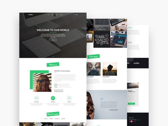 Matrix : Elegant Landing Page Template