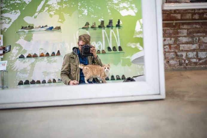 Shop Cats of New York by Andrew Marttila