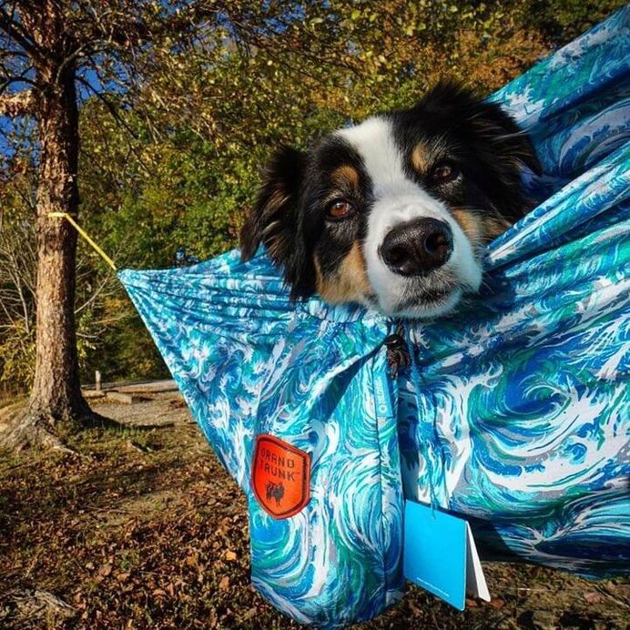Most Dog Friendly Stores in America - Gander Mountain