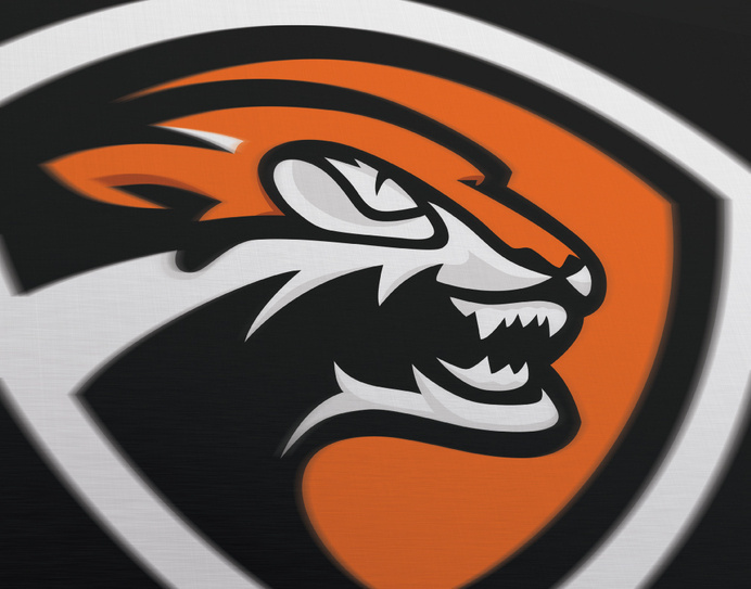 Mascot Logo #logo #vector #mascot