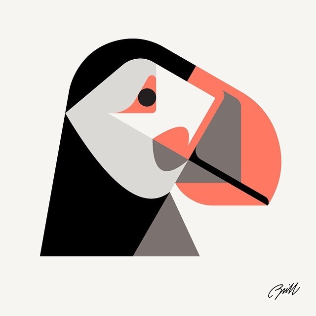 Atlantic Puffin by Josh Brill #icon #iconic #picto #illustration #animal #bird #puffin