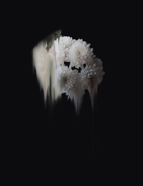 Simone Webb | PICDIT #flower #photo #photography #art