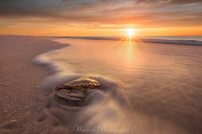 Incredible Landscape Photography in Florida by Jeff Waldorff