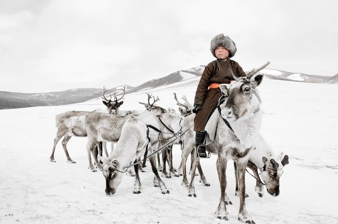 I am a dreamer : Photo #reindeer #nelson #people #jimmy #photography #tsaatan