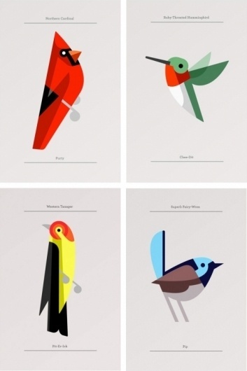 Posters | Sgustok Design #josh #design #birds #poster #brill