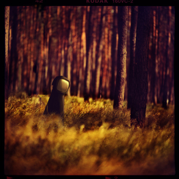 Проснись, #photoillustration