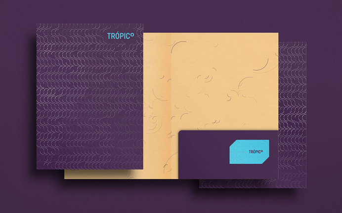Carlos Bauer and Nicholas Pierre tropico branding blue logotype business card modern simple mindsparkle mag purple stationery minimal