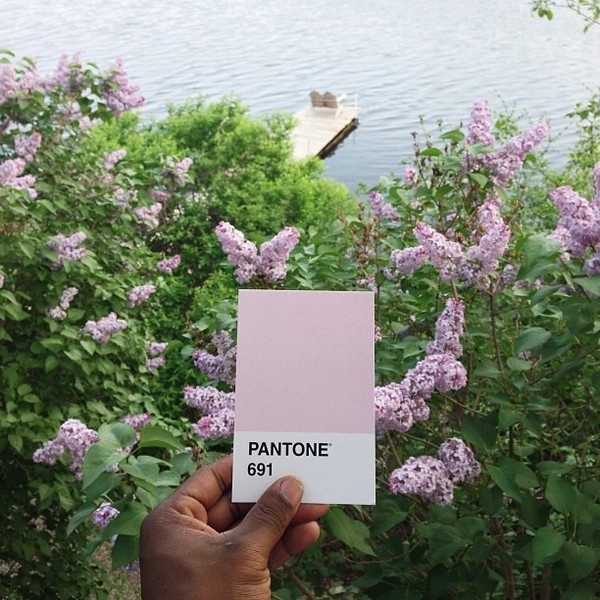CJWHO ™ (The Pantone Project by Paul Octavious Paul...) #creative #design #octavuious #colors #pantone #art #paul