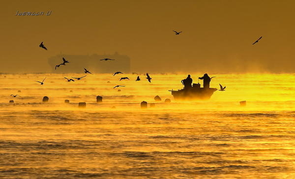 Golden morning #golden #morning