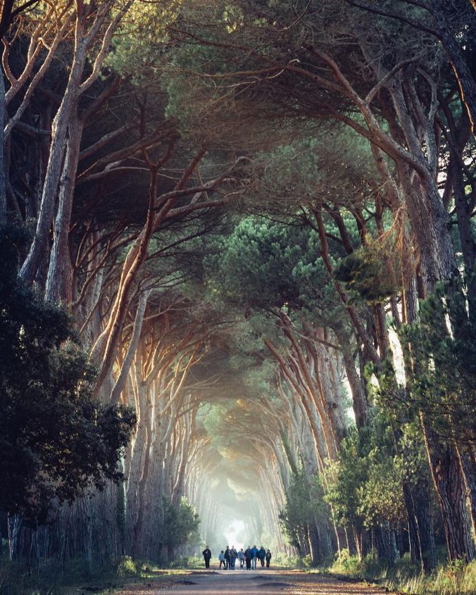 Parco Naturale Migliarino San Rossore Massaciuccoli