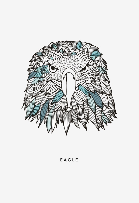 #eagle #illustration #art #posterdesign #print #black #color #blue