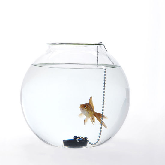 Do not piss me off: Fish Bowls by Roger Arquer #design #bowl #fish