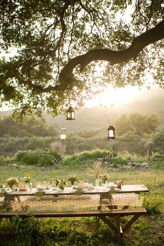i would like to attend this picnic #summer