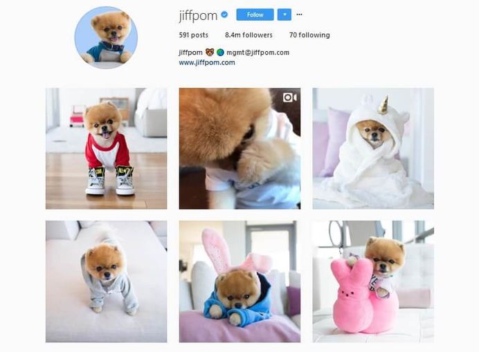 @Jiffpom- Over 8 millions followers